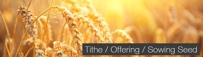 Tithe / Donate