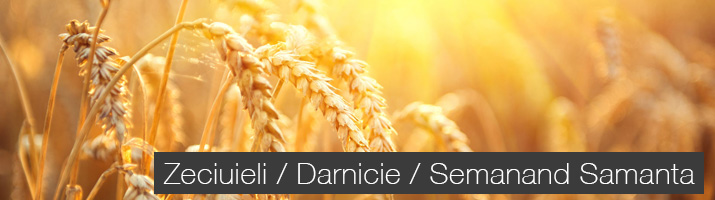 Zeciuieli / Donatii